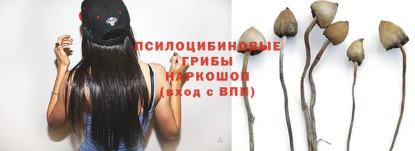 прущая мука Карталы
