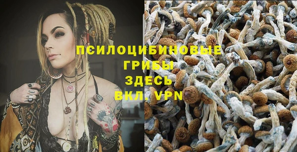 альфа пвп Касимов