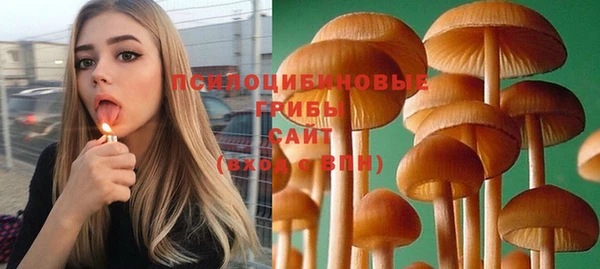 прущая мука Карпинск